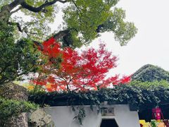 -惠山古镇·寄畅园