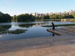 -新江湾城公园