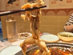 -费明中罗非鱼(大石坝店)