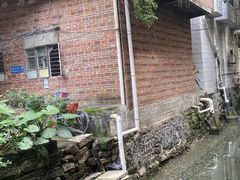 -小洲村