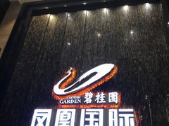 -碧桂园空港凤凰酒店(广州新白云机场店)