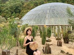-深圳仙湖植物园-停车场
