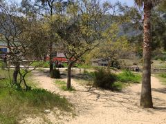 -普陀山风景名胜区-千步大沙