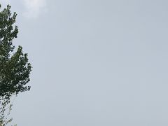 -观澜小洱海