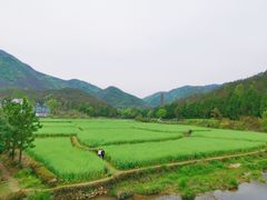 -天台山赤城山景区
