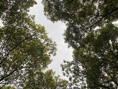-黄兴公园