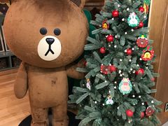 -line friends(明洞旗舰店)