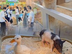 -王府井百货熙地港店