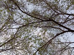-和平区健康主题公园