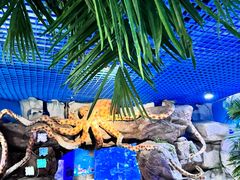 -多彩贵州城极地海洋世界