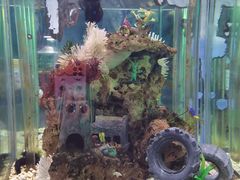 -太平洋海底世界