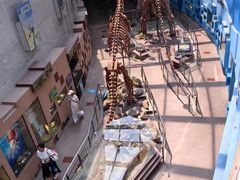 -陕西自然博物馆