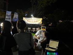 -星光岛
