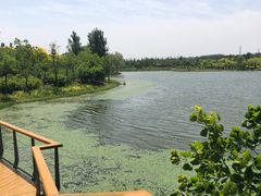-东郊湿地公园