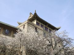 -武汉大学-樱园