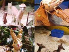-正佳雨林生态植物园