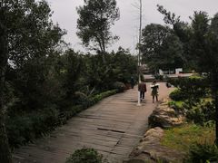 -铁山坪森林公园