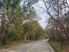 -虞山风景区