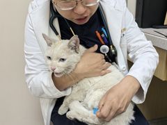 -美联众合爱康动物医院•复杂内科•肿瘤科•牙科•腔镜诊疗中心