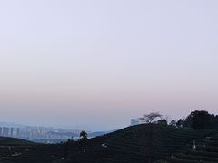 -龙坞茶村