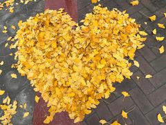 -成都中医药大学(温江校区)