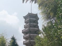 -蜀南竹海景区