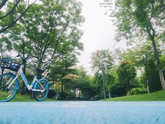 -广州国际生物岛