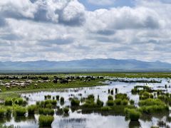 -花湖生态旅游区