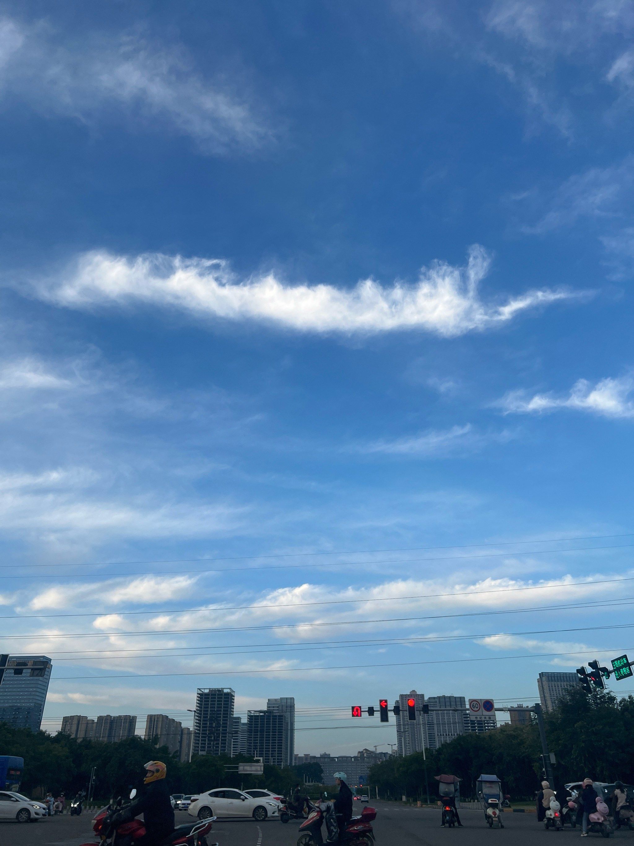 太有意思了这颜色
就像油画叠出来的
一层层渐变的蓝色到白色
