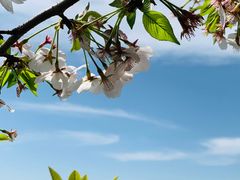 -东山风景区(洞庭东山)