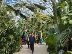 -北京植物园-展览温室