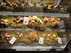-滇野云南野生菌餐厅(陕西南路店)