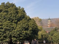 -灵谷景区