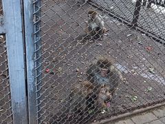 -长白岛森林公园