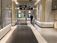 -英皇电影城(平安金融中心IMAX激光店)