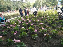 -黑龙江省森林植物园