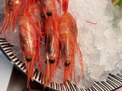-黑松白鹿(金融街店)