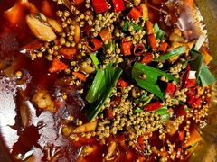 -宽口美蛙鱼头(大唐西市店)