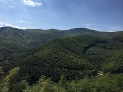 -宁波浙东大竹海景区