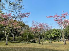 -晓港公园