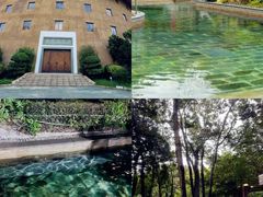 -罗浮山嘉宝田森林温泉度假酒店