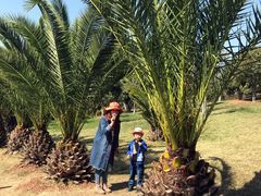 -世界恐龙谷景区