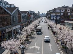 -老号尤兔头(幸福店)