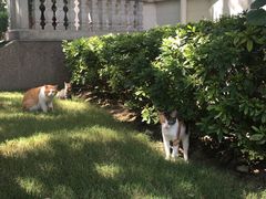 -星巴克(蔡伦路店)