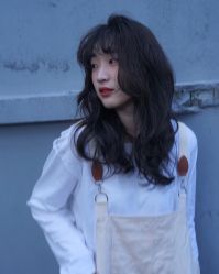 -IDOL-PLUS