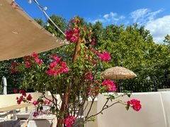 -HUATA 'Holiday Plan 花榻