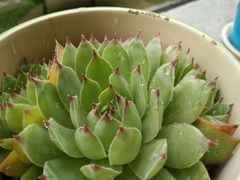 -河海大学(常州校区)