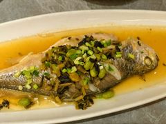 -老绍兴养和饭店(向阳不夜城店)