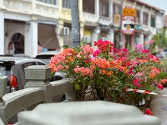 -槟城街头艺术街区