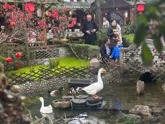 大堂-青城甲(青城山店)